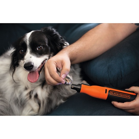 A person uses a BLACK+DECKER orange nail grinder to trim the nails of a black and white dog sitting on a couch. The dog looks relaxed and happy with its tongue out.